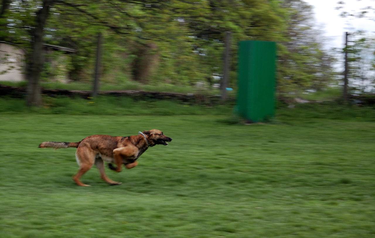 DSC_9817 [Rozlišení obrazovky].jpg