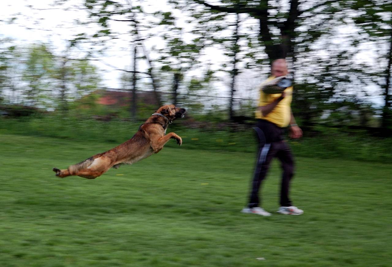 DSC_9818 [Rozlišení obrazovky].jpg