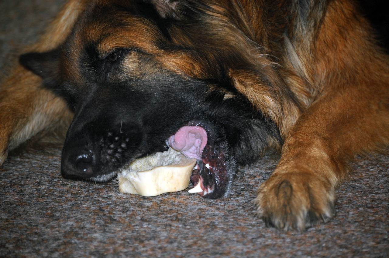 DSC_3533 [Rozlišení obrazovky].jpg