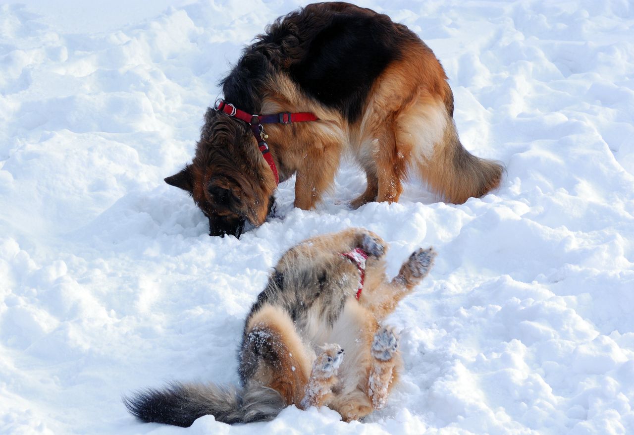 DSC_4075 [Rozlišení obrazovky].jpg