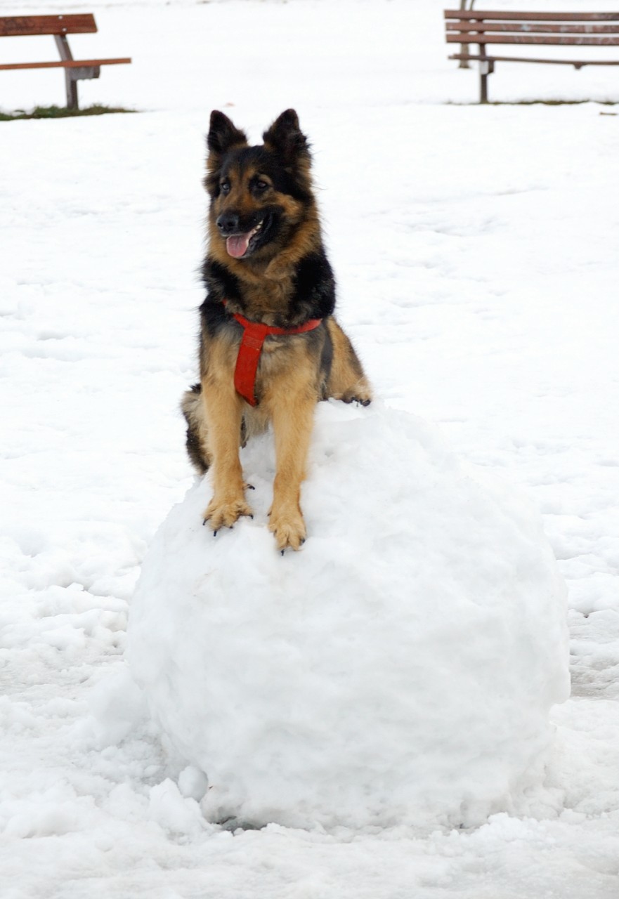 DSC_4279 [Rozlišení obrazovky].jpg